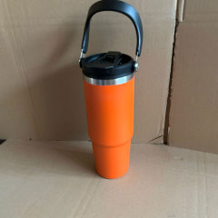 Portable 17oz Insulated Tumbler Stainless Steel Water Bottles with Handle Straw