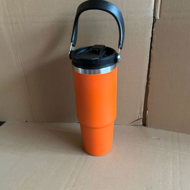 Portable 17oz Insulated Tumbler Stainless Steel Water Bottles with Handle Straw
