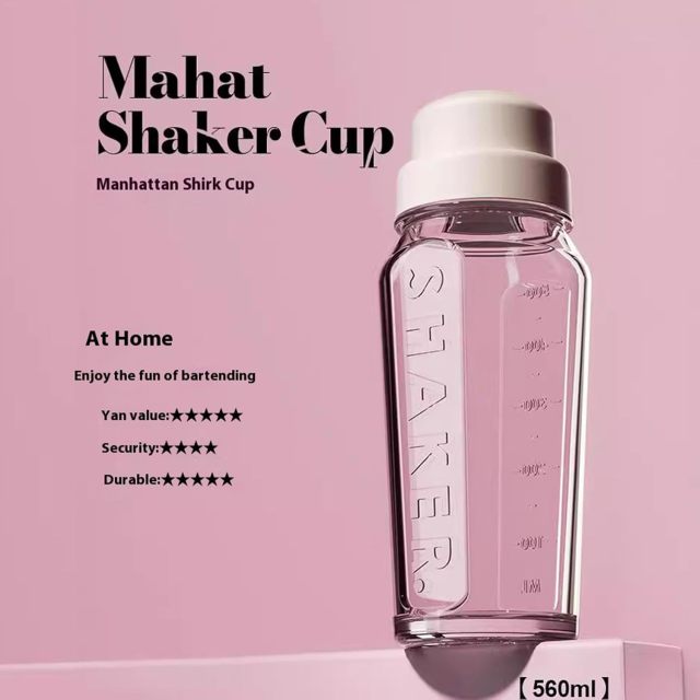19 oz. Martini Cocktail Glass Bar Shaker with Strainer