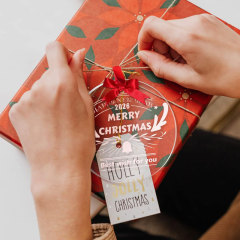 Clear Round Acrylic Christmas Ornaments DIY Blanks W/ Ribbon