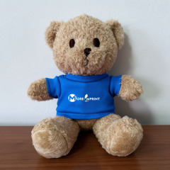 Plush Teddy Bears Custom Stuffed Bear Toy With Custom T-Shirt
