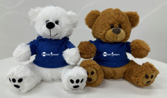 Plush Teddy Bears Custom Stuffed Bear Toy With Custom T-Shirt