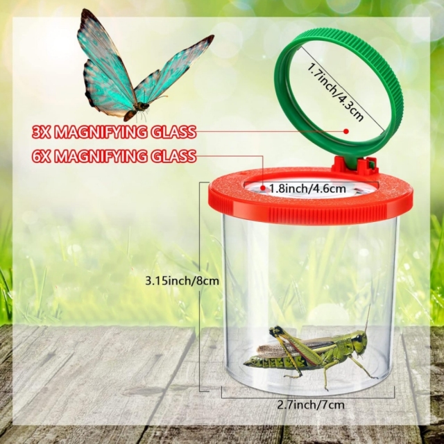 Magnifying Insert Bug Catcher Viewer Box for Kids