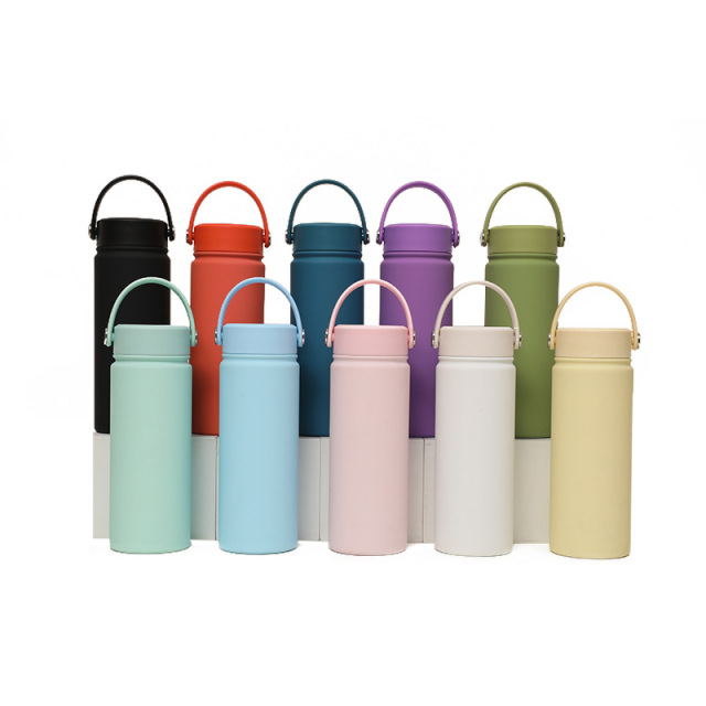 17oz Insulated Carry Handle Lid Water Bottle Sports Flask