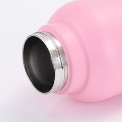 3 In 1 Steel Travel Water Handle Bottle w/ 2 Bowls for Pet