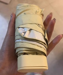 6 Ribs Folding Flat Mini Travel Sun Umbrella with Case