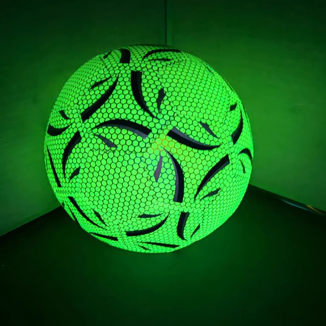 Full Size Light Up Training Soccer Glow Practice Football