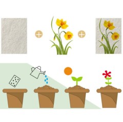 Plantable Seed Paper Cards Biodegradable Sprouting Postcards