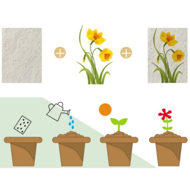 Plantable Seed Paper Cards Biodegradable Sprouting Postcards