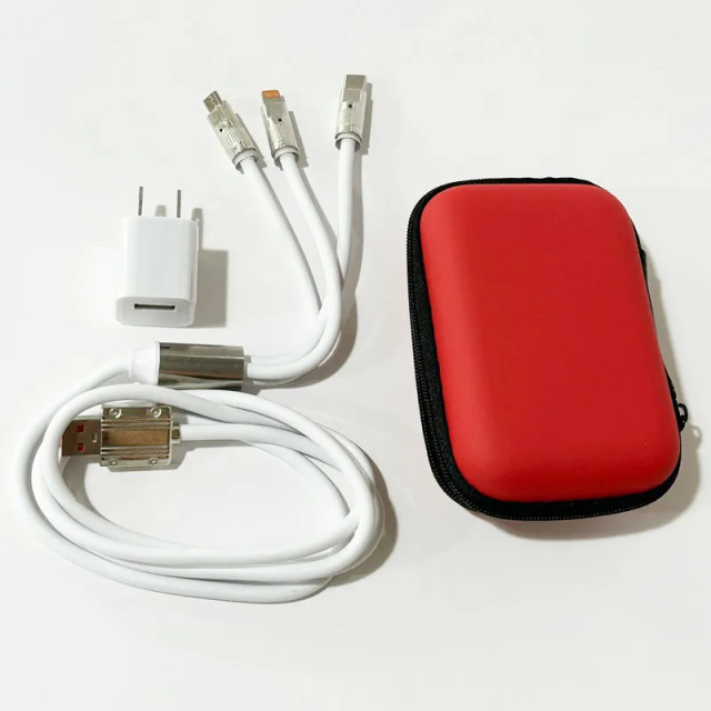 3-in-1 Travel Charger Kit US Plug with EVA Storage Case