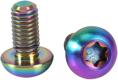 M5*10mm Titanium Alloy TX25 Screw