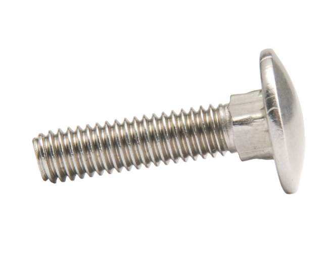 Carraige Bolt