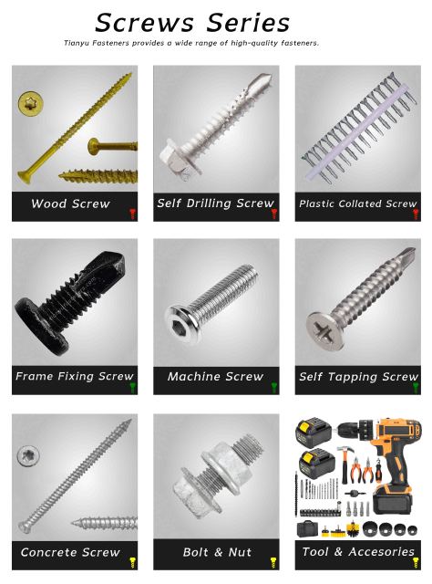 Tianyu Wafer Head Wood Screw With Torx Square Drive And Type 17 Point High Holding Power For Furniture And Deck Construction