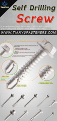 Tianyu Hex Head Sharp Point High Low Thread Screw 1000 Hours Salt Spray Ruspert Coating Wood Deck Fastener