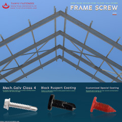 Tianyu Pan Head Phillips Drive Self Drilling Screws Zinc Plated Sturdy for Electrical Fixtures Furniture Install