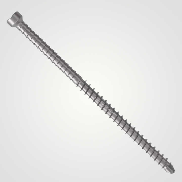 Tianyu Stainless Steel 304 Trim Head Self Drilling Screw Exterior Decking Fastener Square Drive Tek Sharp Point M5 M6