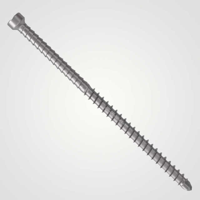 Tianyu Stainless Steel 304 Trim Head Self Drilling Screw Exterior Decking Fastener Square Drive Tek Sharp Point M5 M6