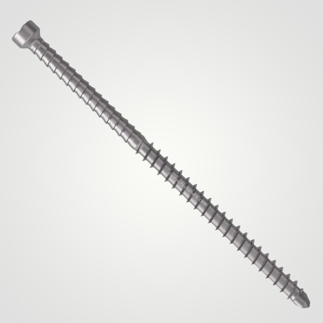 Tianyu Stainless Steel 304 Trim Head Self Drilling Screw Exterior Decking Fastener Square Drive Tek Sharp Point M5 M6