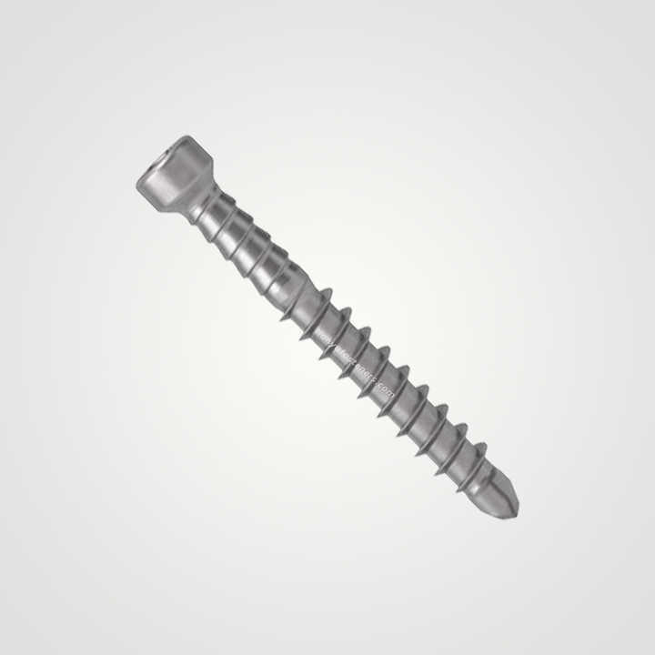 Tianyu Torx Drive Trim Head Self Drilling Screw Stainless Steel 410 Exterior Decking Fastener Tek Point M4 M5 M6