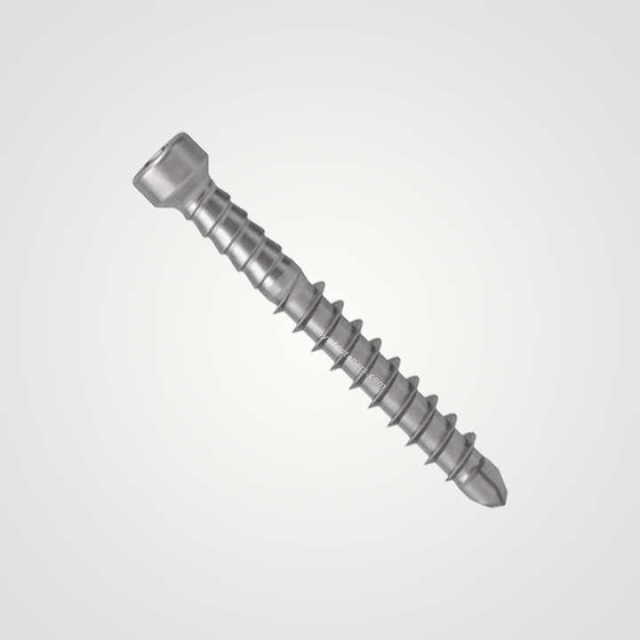Tianyu Torx Drive Trim Head Self Drilling Screw Stainless Steel 410 Exterior Decking Fastener Tek Point M4 M5 M6