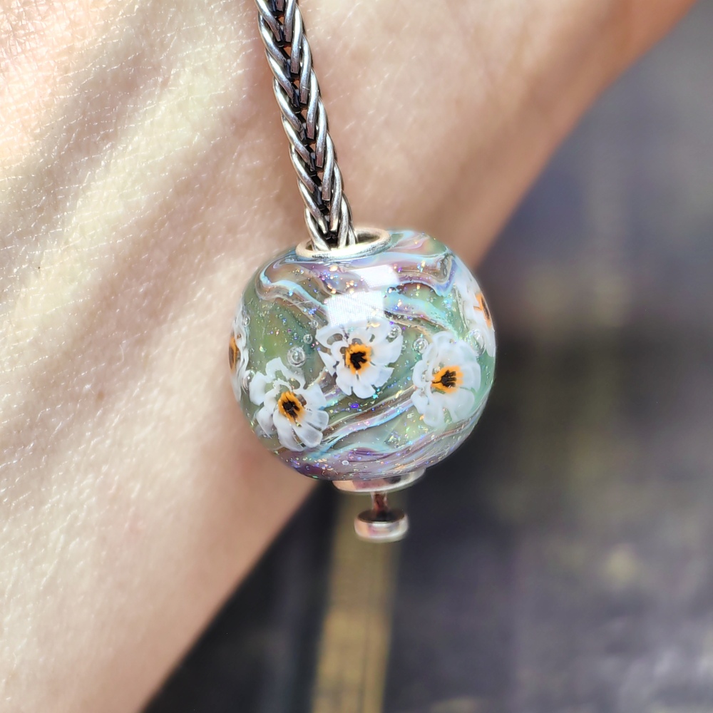 Stardust Dream Camellia Field