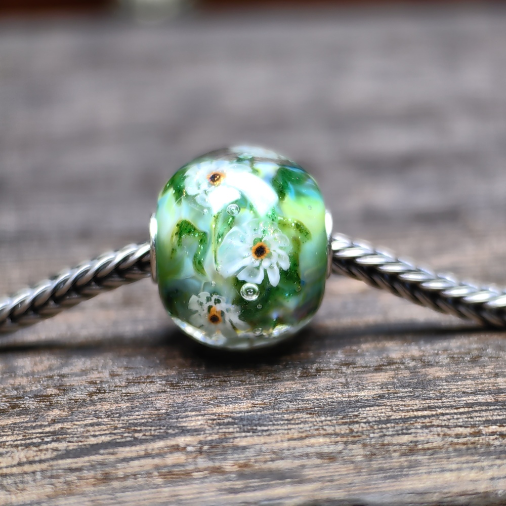 Misty Mountain Camellia