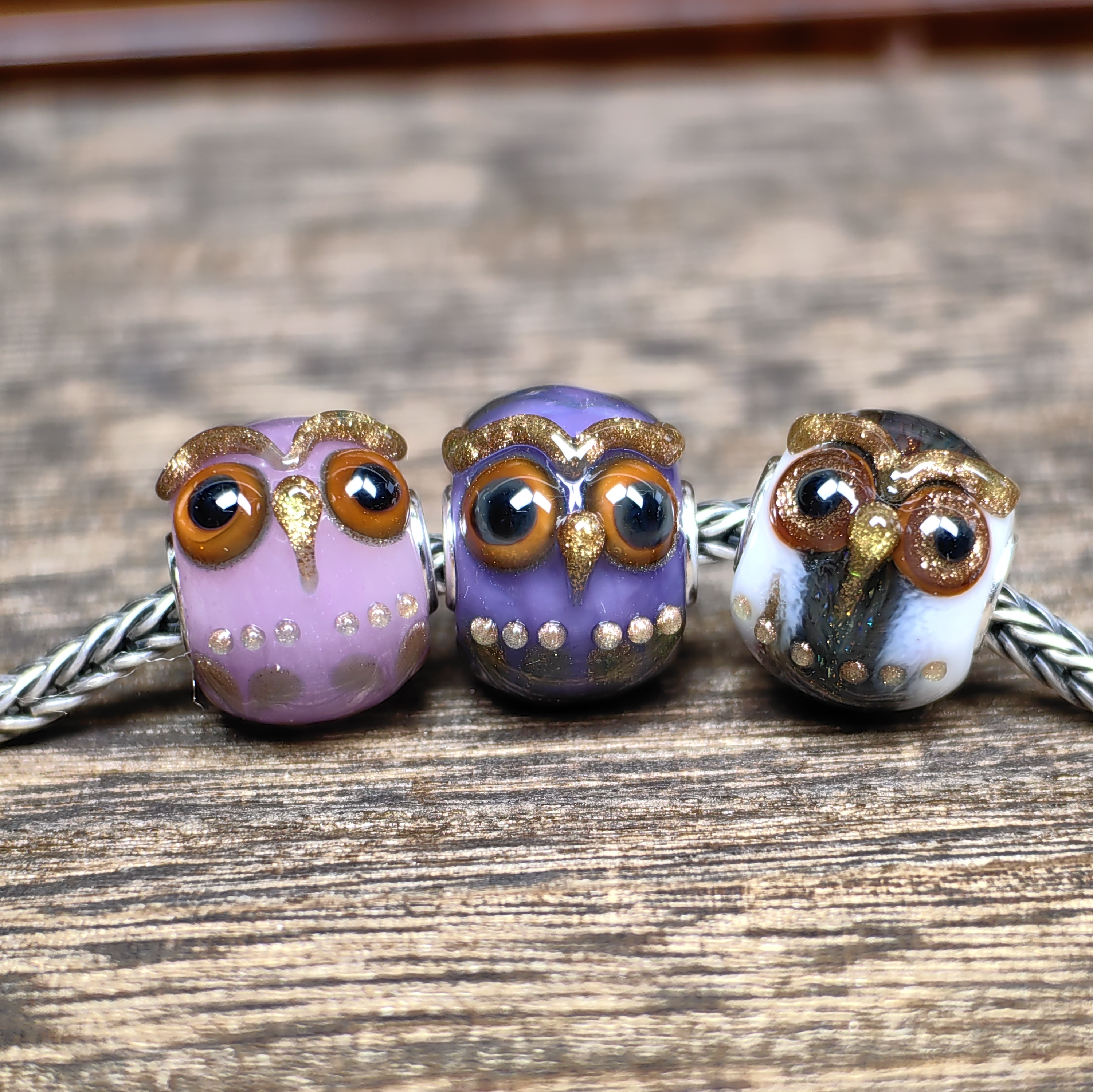Lovely Owl commbination 1