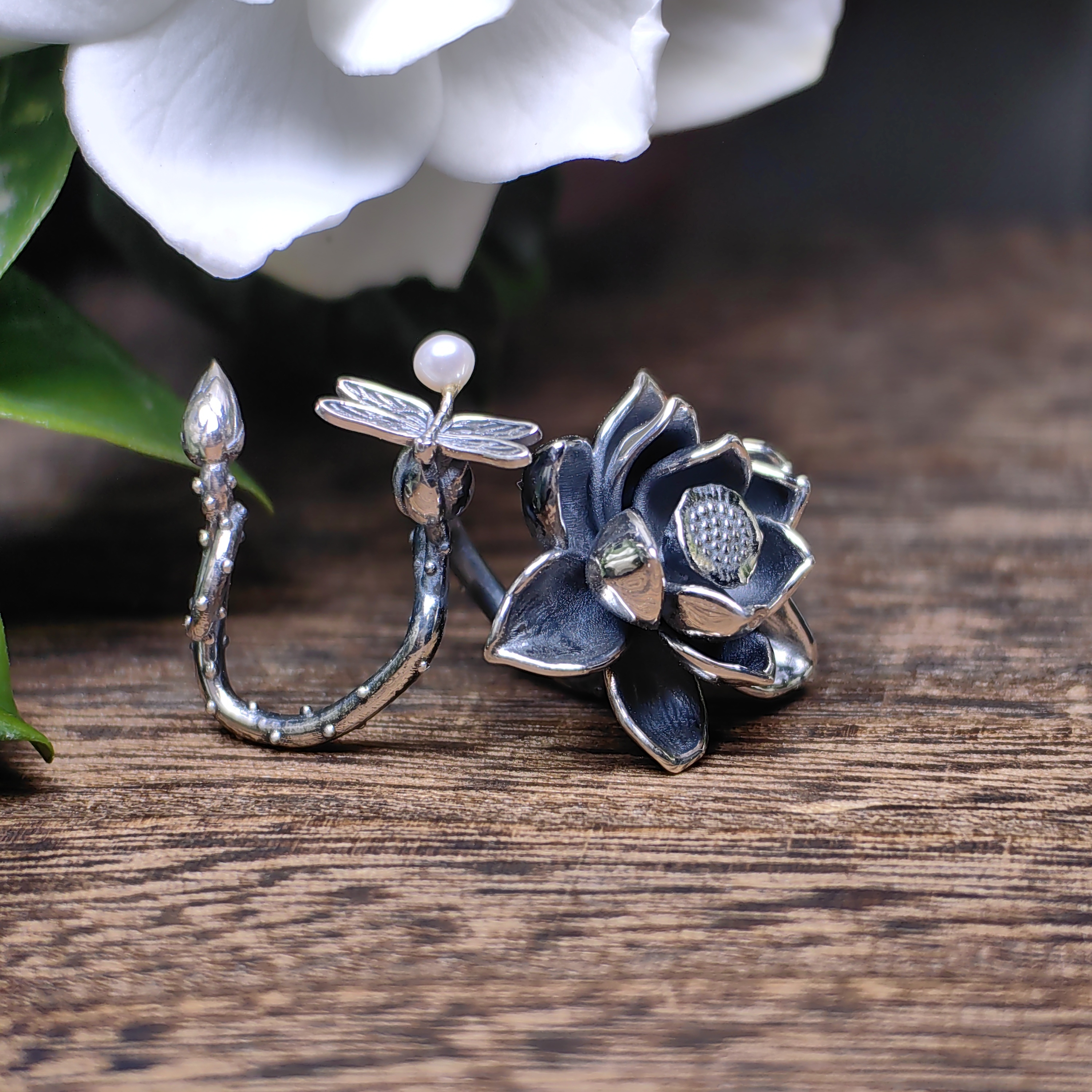 Dragonfly Lotus Hug