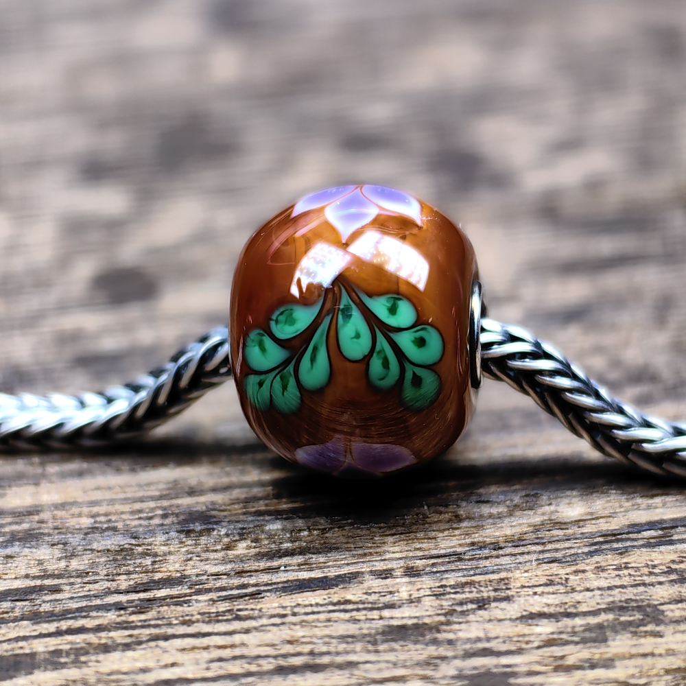 Cocoa  Ancient Plant