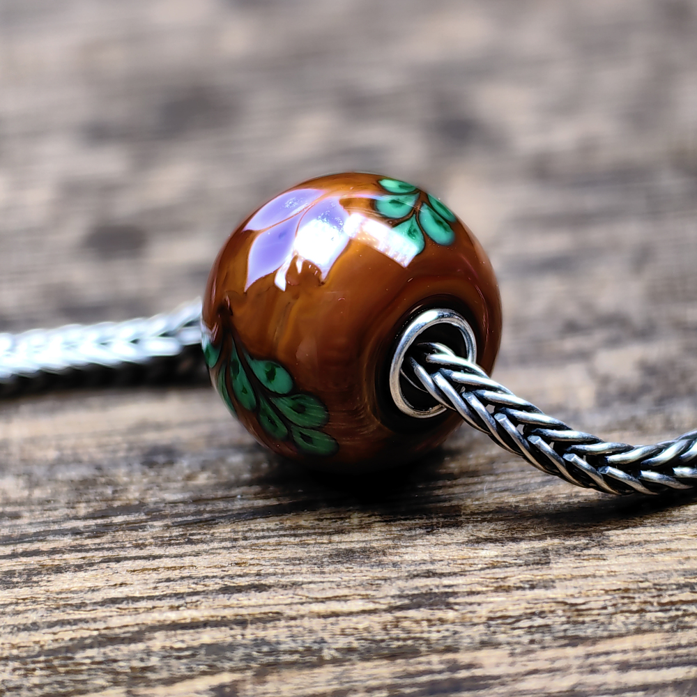 Cocoa  Ancient Plant