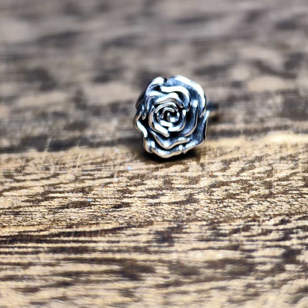 Klein Bottle& # Klein Rose Dangle
