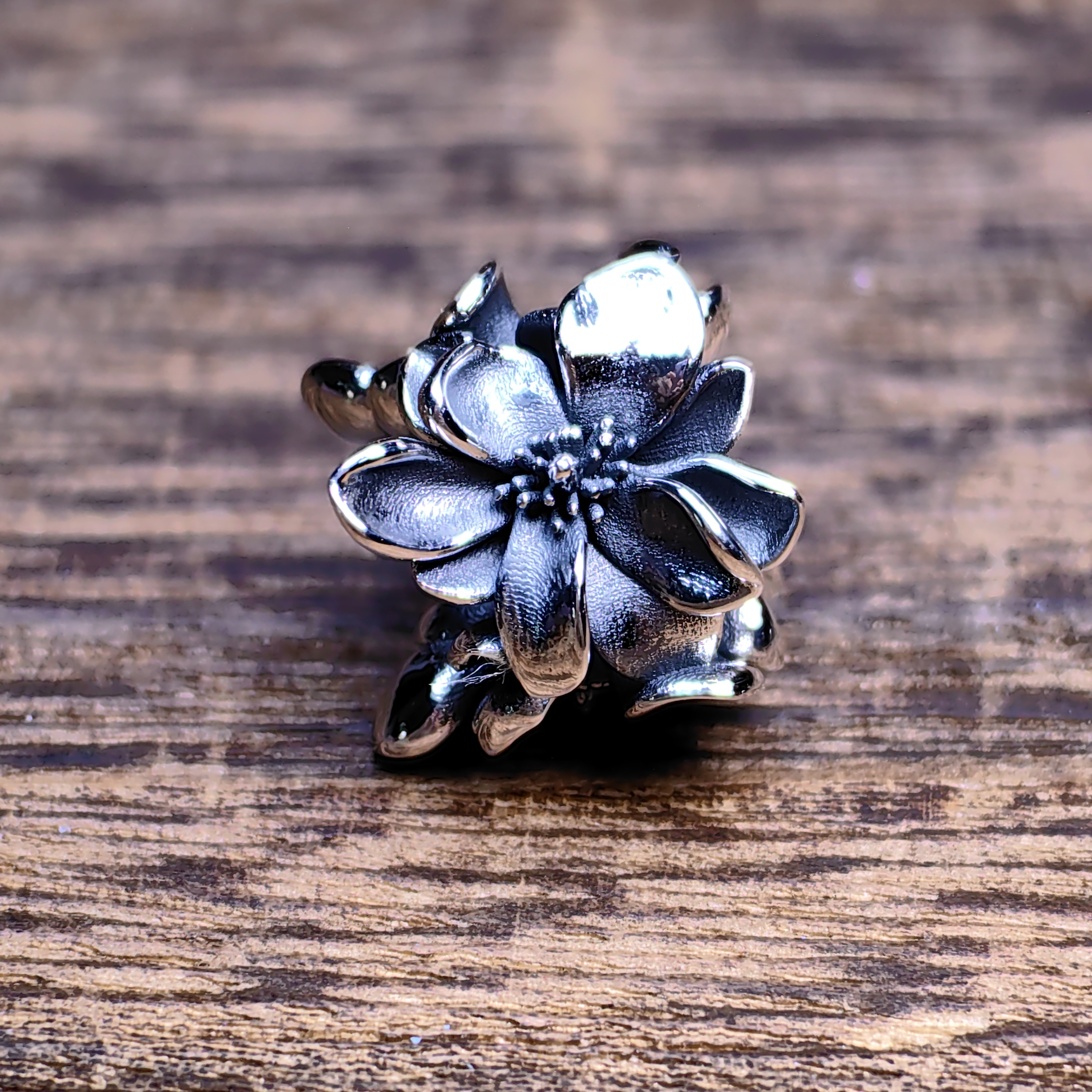 Magolia Blossom