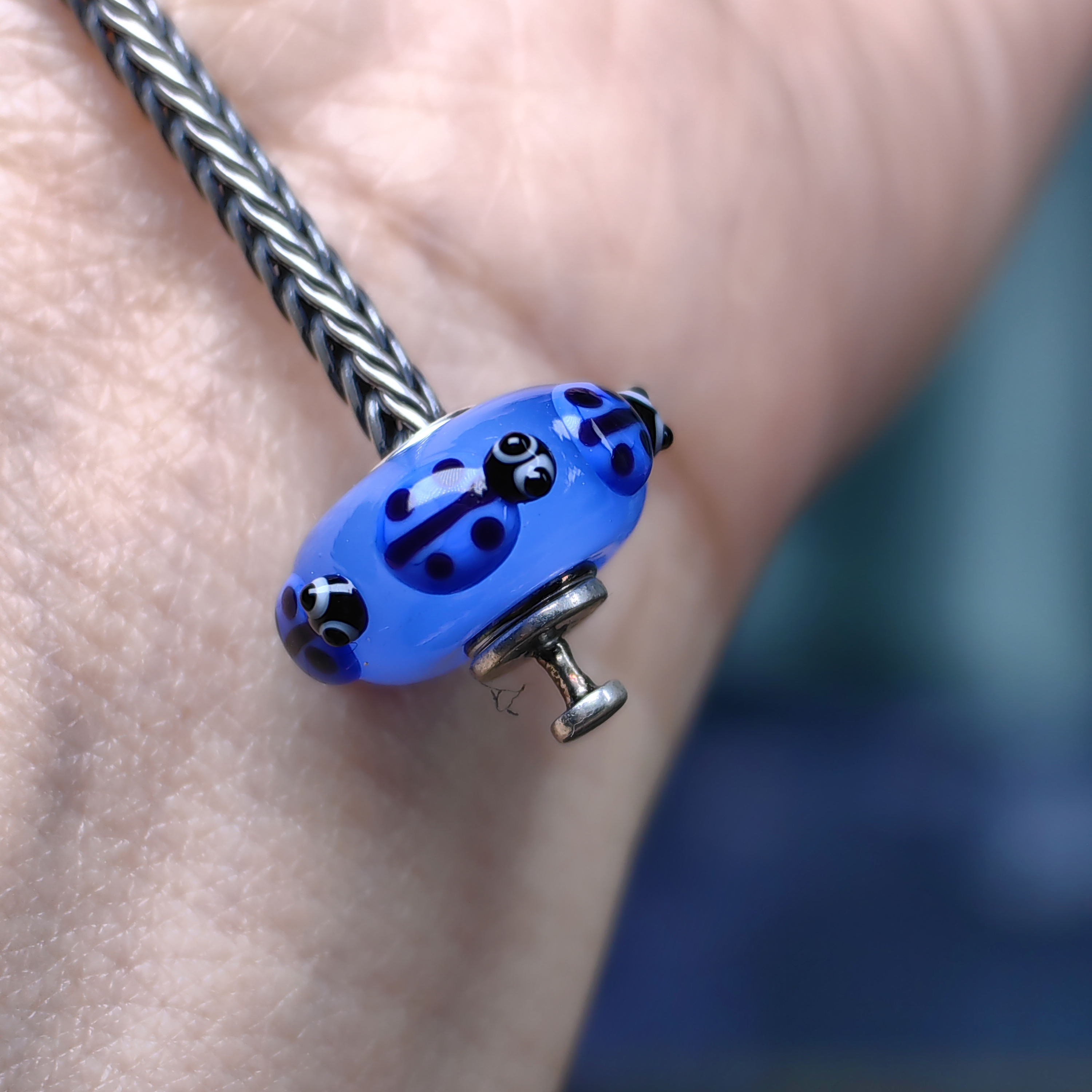 Ladybugs