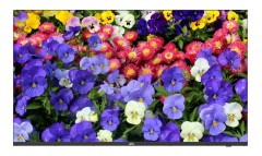 43" LED UHD Monitor | MW3243-F-V2