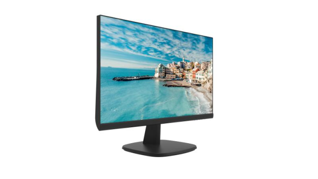 23.8 inch FHD Borderless Monitor