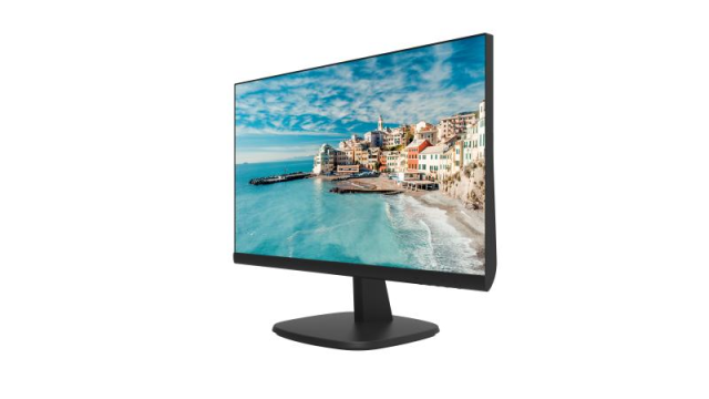 23.8 inch FHD Borderless Monitor