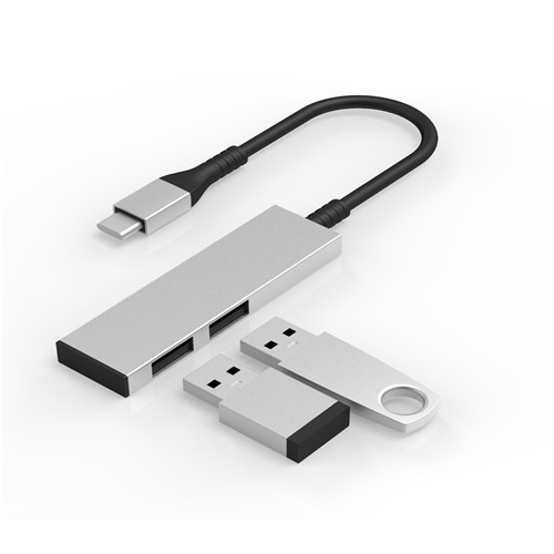 2 in 1 Hub - USB C to USB A x 2