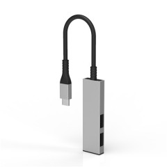 2 in 1 Hub - USB C to USB A x 2
