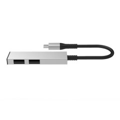 2 in 1 Hub - USB C to USB A x 2