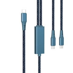 2 in 1 PD100W Fast Charge & Sync Cable