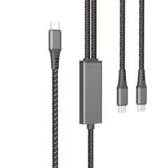 2 in 1 PD100W Fast Charge & Sync Cable