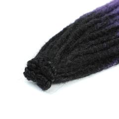 Pre-looped dreadlocks