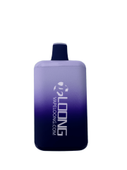 loong-B1 BOOMI 7000 (1)