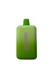 loong-B1 BOOMI 7000 (1)