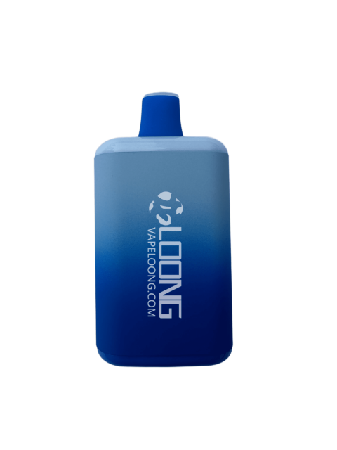 loong-B1 BOOMI 7000 (1)