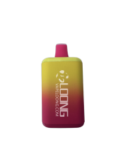 loong-B1 BOOMI 7000 (1)