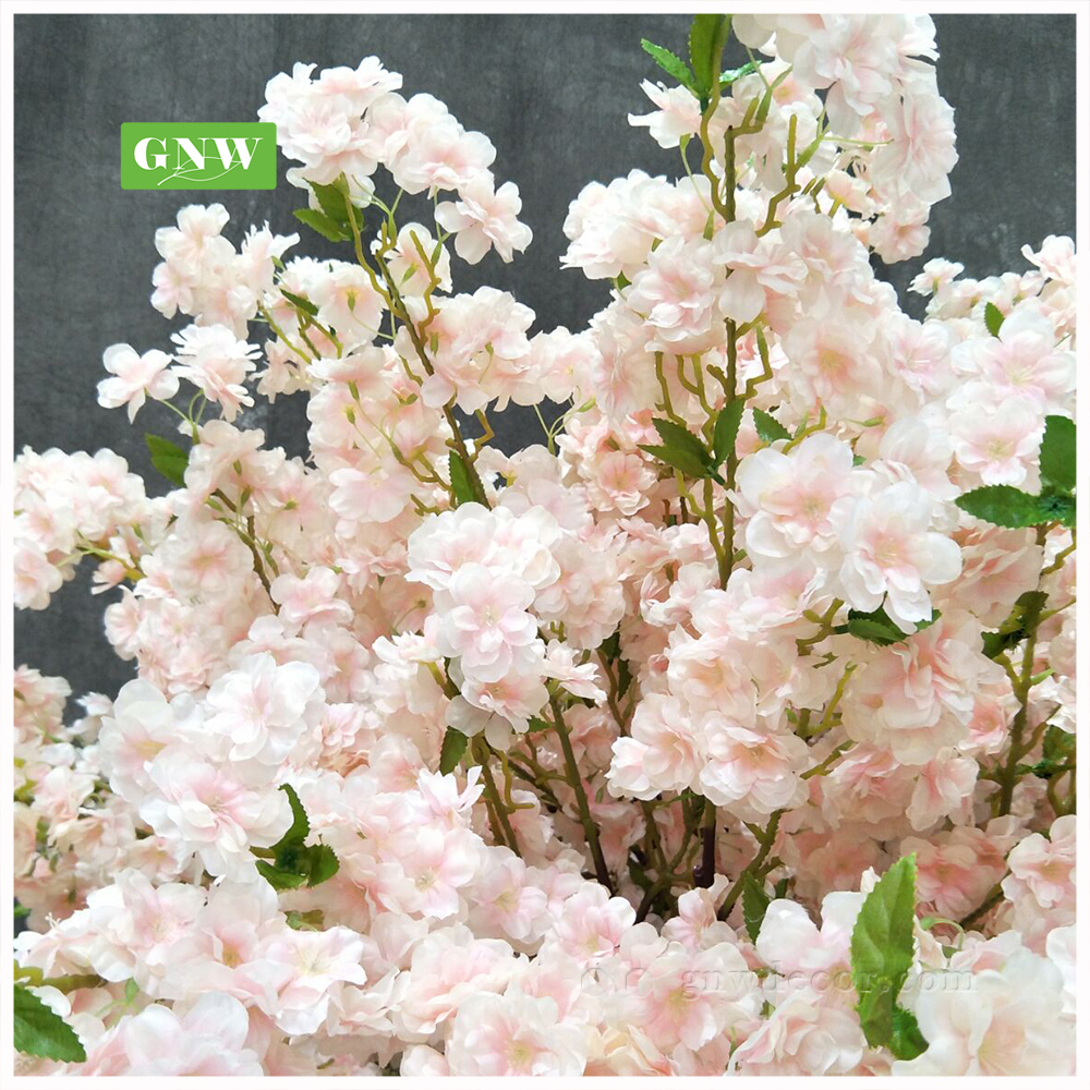 Cherry blossom tree 150cm high