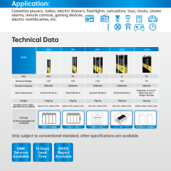 AAA Alkaline Battery