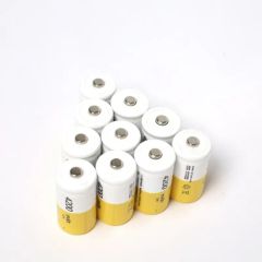 C Size Battery