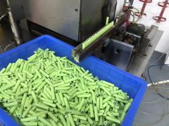 nimh battery pack: 16.8 volt custom capacity | Weijiang Power